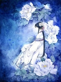 枫无涯