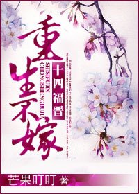 十四福晋重生不嫁
