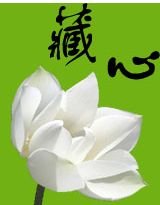 南陳:藏心