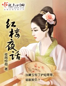 （红楼同人）红楼夜话